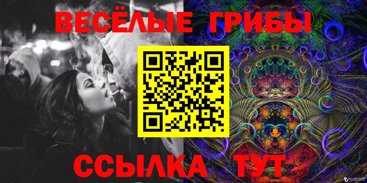Псилоцибиновые грибы Cubensis Москва