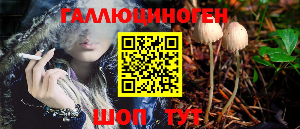 Москва  Псилоцибиновые грибы GOLDEN TEACHER  Галлюциногенные грибы ЛСД  Вход с VPN 
